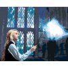 ZUTY Maľovanie podľa čísel - LUNA ČARUJE PATRONA (HARRY POTTER) Rámovanie: vypnuté plátno na rám, Rozmer: 40x50 cm ZUTY Maľovanie podľa čísel - LUNA ČARUJE PATRONA (HARRY POTTER) Rámovanie: vypnuté plátno na rám, Rozmer: 40x50 cm