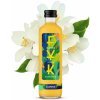 Kombucha Jazmín, balenie 24 ks Kombucha Jazmín, balenie 24 ks