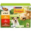 Friskies Adult lahodný výber v želé 2 x 12 x 85 g