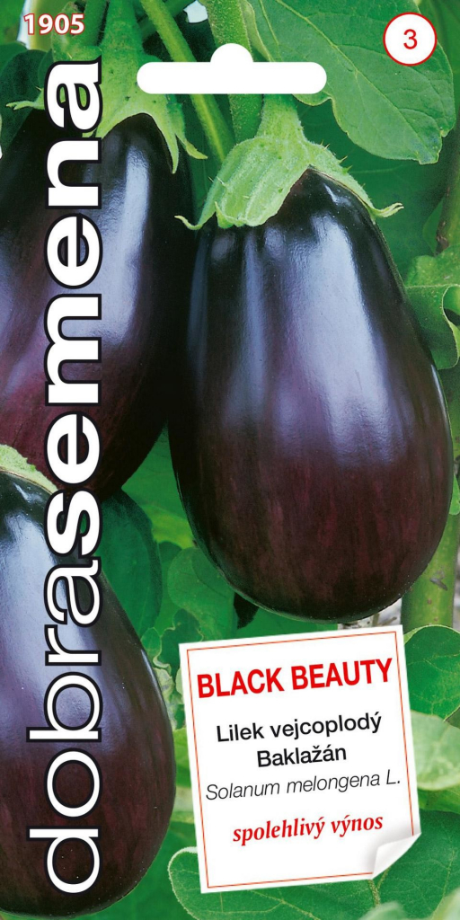 Dobré semená Baklažán vajcoplodý - Black Beauty 0,8 g