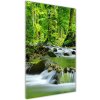 Vertikálny foto obraz sklenený Horský potok 50x100 cm Vertikálny foto obraz sklenený Horský potok 50x100 cm