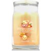 Yankee Candle vonná sviečka Praline & Birch 567 g Mango Ice Cream Yankee Candle vonná sviečka Praline & Birch 567 g Mango Ice Cream