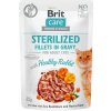 Brit Care Cat Sterilized Fillets in Gravy with Healthy Rabbit 85 g Brit Care Cat Sterilized Fillets in Gravy with Healthy Rabbit 85 g