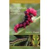 Caterpillars of Eastern North America (David L. Wagner)(Brožovaná) Caterpillars of Eastern North America (David L. Wagner)(Brožovaná)