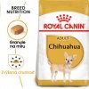 Royal Canin Chihuahua Adult granule pre dospelú čivavu 500g Royal Canin Chihuahua Adult granule pre dospelú čivavu 500g