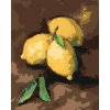 ZUTY Maľovanie podľa čísel - CITRÓNY Rámovanie: vypnuté plátno na rám, Rozmer: 80x100 cm ZUTY Maľovanie podľa čísel - CITRÓNY Rámovanie: vypnuté plátno na rám, Rozmer: 80x100 cm