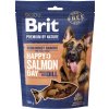 Brit Premium by Nature Dog Semi-moist Snacks Salmon with Dill 180 g Brit Premium by Nature Dog Semi-moist Snacks Salmon with Dill 180 g