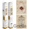 Pyramid International Sada plagátov Harry Potter - Záškodnícka mapa a Školský zoznam (2 ks) Pyramid International Sada plagátov Harry Potter - Záškodnícka mapa a Školský zoznam (2 ks)