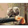 Diamondi Diamantové maľovanie - MLÁĎATÁ SOVY NA ZRÚBANOM STROME (D. RUSTY RUST) Rámovanie: bez rámu a bez vypnutia plátna, Rozmer: 40x50 cm Diamondi Diamantové maľovanie - MLÁĎATÁ SOVY NA ZRÚBANOM STROME (D. RUSTY RUST) Rámovanie: bez rámu a bez vypnutia plátna, Rozmer: 40x50 cm