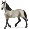 SCHLEICH Horse Club® 13955 Kůň Selle Français - klisna SCHLEICH Horse Club® 13955 Kůň Selle Français - klisna