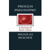 Process Philosophy Process Philosophy