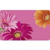 IHR Plastové prestieranie Joyful Gerbera 23,5cm IHR Plastové prestieranie Joyful Gerbera 23,5cm