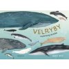 Velryby Velryby
