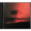 Joji: Piss In The Wind - CD Joji: Piss In The Wind - CD