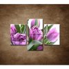 Nežné tulipány - 3dielny 90x60cm Nežné tulipány - 3dielny 90x60cm