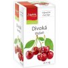 Apotheke čaj Divoká čerešňa 20x2g 20x2g Apotheke čaj Divoká čerešňa 20x2g 20x2g