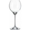 Crystalite Bohemia CARDUELIS poháre na biele víno 6 x 390 ml