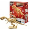 Buki France Dinodig vykopávka a kostra Tyranosaurus Buki France Dinodig vykopávka a kostra Tyranosaurus