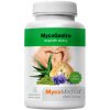 MycoMedica MycoGastro sypká směs pro přípravu nápoje 90g MycoMedica MycoGastro sypká směs pro přípravu nápoje 90g