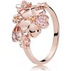 Pandora 187083NPRM