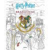 Harry Potter: Oficiální bradavické omalovánky - Paula Rozelle Hanback Harry Potter: Oficiální bradavické omalovánky - Paula Rozelle Hanback