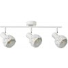 Italux SPL-3480-3-W bodové stropné svietidlo Harley | 3x40W E14 Italux SPL-3480-3-W bodové stropné svietidlo Harley | 3x40W E14