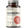 Výživový doplnok ALLNATURE BERBERÍN 500 MG, 60 CPS Výživový doplnok ALLNATURE BERBERÍN 500 MG, 60 CPS