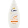 Dove Fruity Nourish Body Wash výživujúci sprchový gél 450 ml