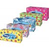Zewa Everyday Box papierové vreckovky 2-vrstvové 100 ks Zewa Everyday Box papierové vreckovky 2-vrstvové 100 ks