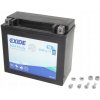 Exide AGM12-19