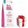 BRIT CARE Dog Grain-free Puppy Salmon 12kg + PREKVAPENIE PRE VÁŠHO PSA BRIT CARE Dog Grain-free Puppy Salmon 12kg + PREKVAPENIE PRE VÁŠHO PSA