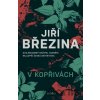 V kopřivách - Jiří Březina V kopřivách - Jiří Březina