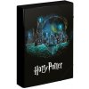 BAAGL Dosky na školské zošity A4 Jumbo Harry Potter BAAGL Dosky na školské zošity A4 Jumbo Harry Potter