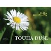 Touha duše - Doležalová Klára Touha duše - Doležalová Klára