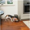 Dávkovač krmiva Healthy Pet Simply Feed™ PetSafe, digitální, černý Dávkovač krmiva Healthy Pet Simply Feed™ PetSafe, digitální, černý