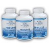 FitSport Nutrition 3x Tribulus Terrestris 90% + Vitamín B6 + Zinok 240 kapsúl FitSport Nutrition 3x Tribulus Terrestris 90% + Vitamín B6 + Zinok 240 kapsúl