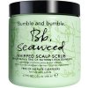 Bumble and Bumble Bb Seaweed Whipped Scalp Scrub vlasový peeling 200 ml