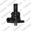 Termostat chladenia CALORSTAT by Vernet 530984J Termostat chladenia CALORSTAT by Vernet 530984J