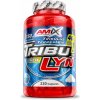 Výživový doplnok Tribulus terrestris kapsuly Amix prírodný 125 g Výživový doplnok Tribulus terrestris kapsuly Amix prírodný 125 g