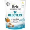 Brit Care Dog Functional Snack Recovery Herring 150 g Brit Care Dog Functional Snack Recovery Herring 150 g