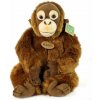 Plyšák RAPPA Plyšová opica orangutan 27 cm, Eco-Friendly (8590687211841) Plyšák RAPPA Plyšová opica orangutan 27 cm, Eco-Friendly (8590687211841)