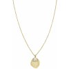 Rosefield Pozlátený oceľový náhrdelník s mušľou Amber JSPNG-J159 Rosefield Pozlátený oceľový náhrdelník s mušľou Amber JSPNG-J159