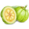 Garcinia cambogia prášek 1000g Salvia Paradise Garcinia cambogia prášek 1000g Salvia Paradise