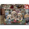 Educa puzzle Pupies in the Luggage 500 dielov a fix lepidlo 17645 Educa puzzle Pupies in the Luggage 500 dielov a fix lepidlo 17645
