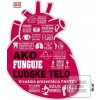 Ako funguje ľudské telo Ako funguje ľudské telo
