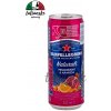 San Pellegrino MELOGRANO ARANCIA plech 0,33l San Pellegrino MELOGRANO ARANCIA plech 0,33l