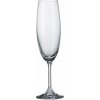 CRYSTALITE BOHEMIA BOHEMIA SYLVIA POHÁR NA ŠAMPANSKÉ 220 ML SADA 6 KS CRYSTALITE BOHEMIA BOHEMIA SYLVIA POHÁR NA ŠAMPANSKÉ 220 ML SADA 6 KS