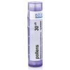 Pollens gra.1 x 4 g 30CH Pollens gra.1 x 4 g 30CH