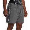 Under Armour UA Woven Woodmark Shorts modrá