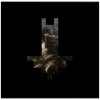 Behemoth: I Loved You At Your Darkest - CD Behemoth: I Loved You At Your Darkest - CD